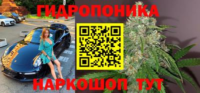 трава Шелехов