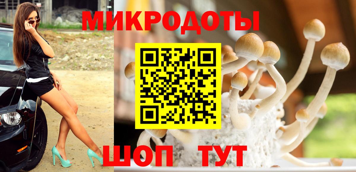 Псилоцибиновые грибы MAGIC MUSHROOMS  Вход с VPN  Бузулук 
