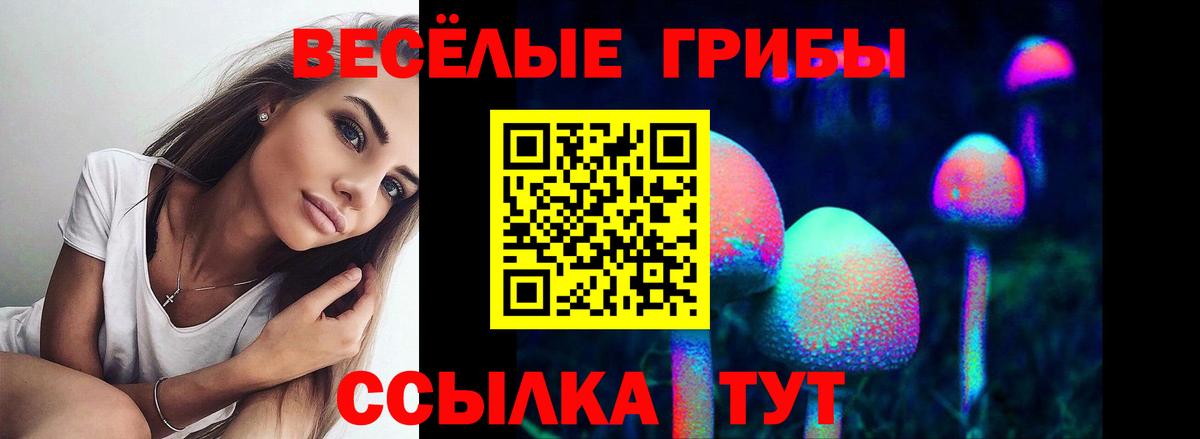 Псилоцибиновые грибы Magic Shrooms Бузулук